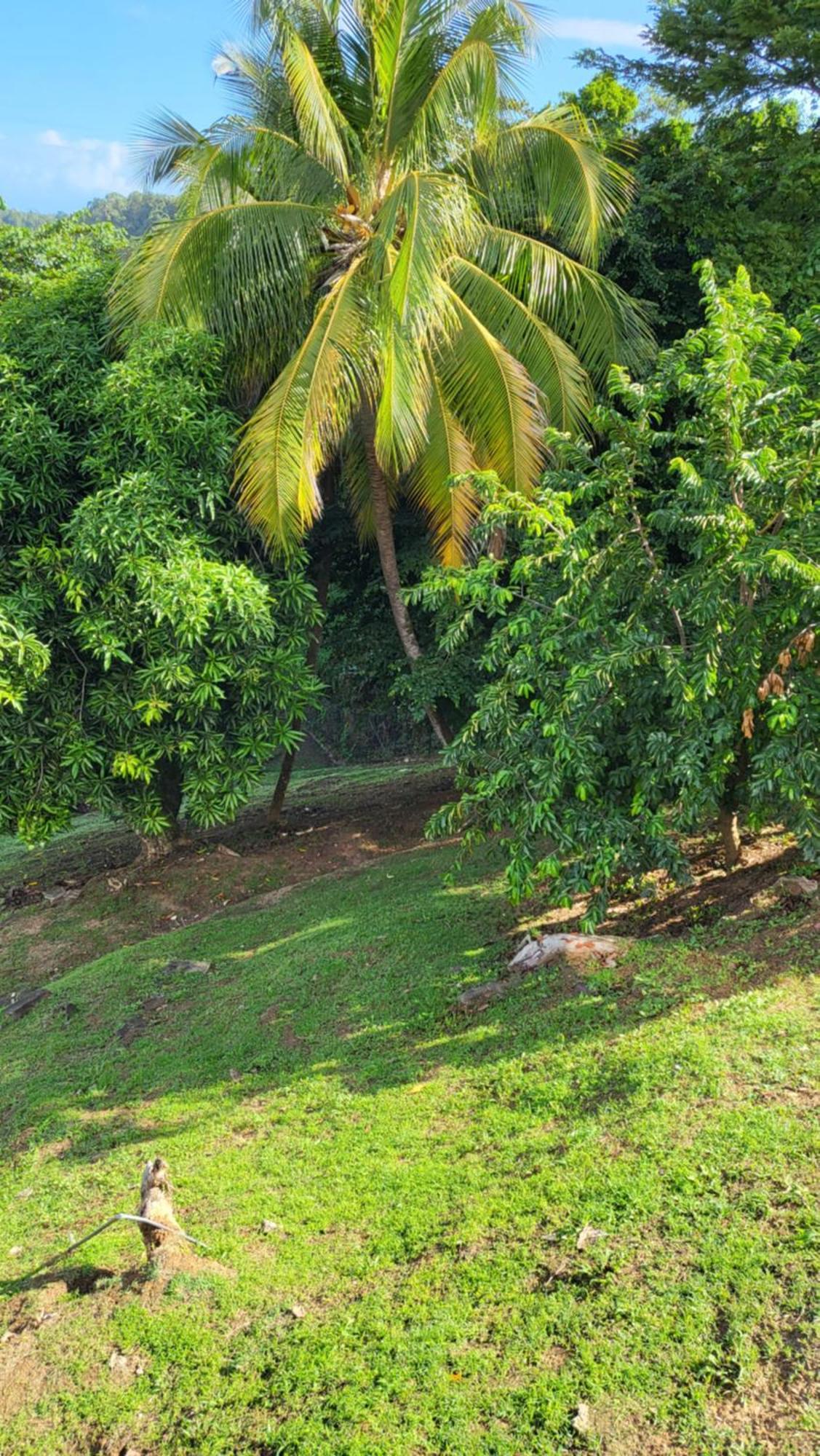 Le Caillou Villa La Trinite Exterior photo